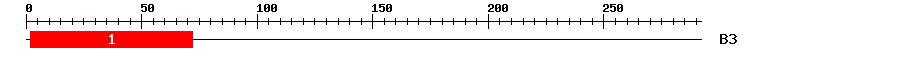 Signature Domain