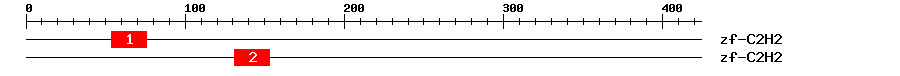 Signature Domain