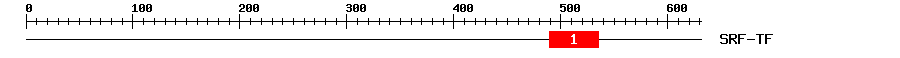 Signature Domain