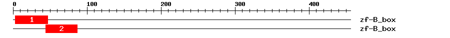 Signature Domain