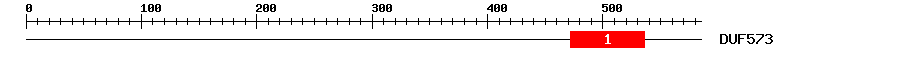 Signature Domain
