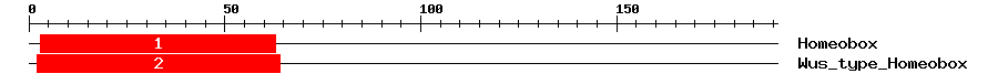 Signature Domain
