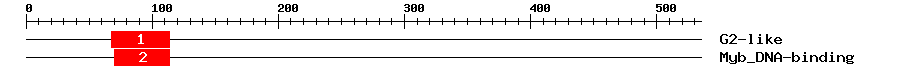 Signature Domain