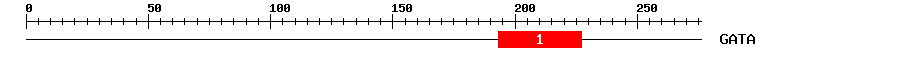 Signature Domain