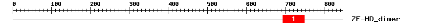 Signature Domain