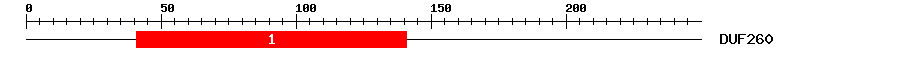 Signature Domain