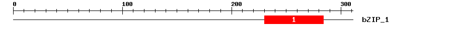 Signature Domain