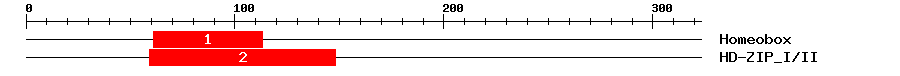 Signature Domain