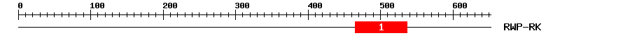Signature Domain
