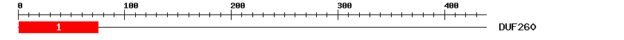 Signature Domain