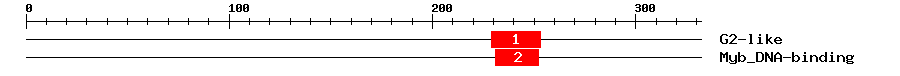 Signature Domain