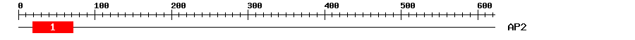 Signature Domain