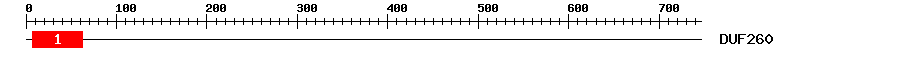 Signature Domain