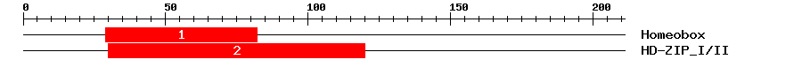 Signature Domain