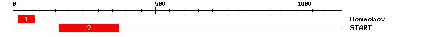 Signature Domain