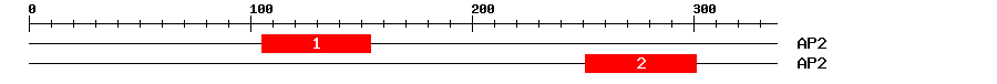Signature Domain