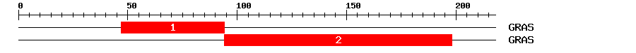 Signature Domain