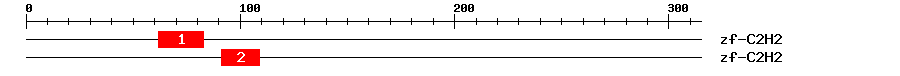 Signature Domain