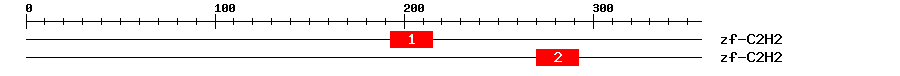 Signature Domain