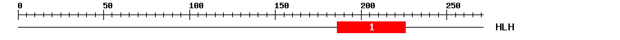 Signature Domain