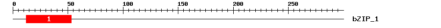 Signature Domain