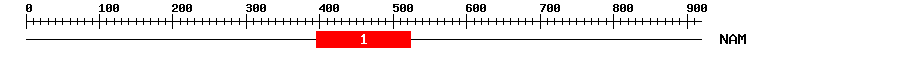 Signature Domain