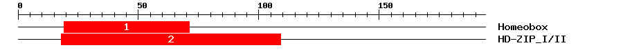 Signature Domain