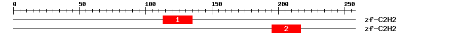 Signature Domain