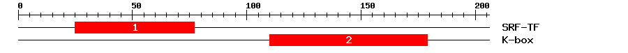 Signature Domain