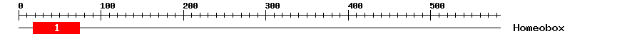 Signature Domain