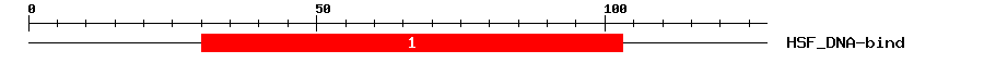 Signature Domain