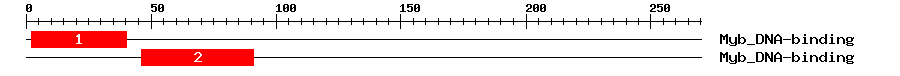 Signature Domain