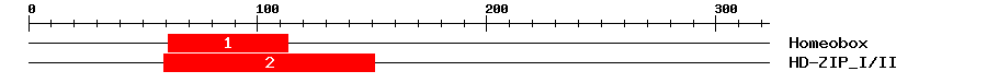 Signature Domain