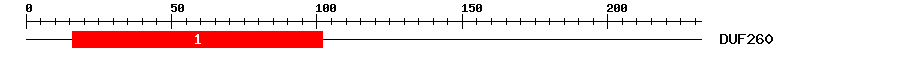 Signature Domain
