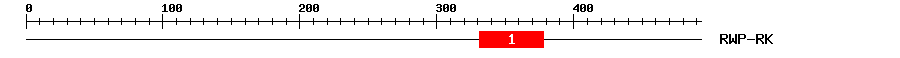 Signature Domain