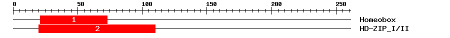 Signature Domain