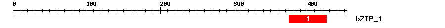 Signature Domain