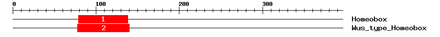 Signature Domain