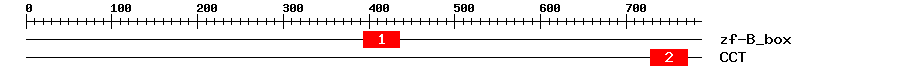 Signature Domain