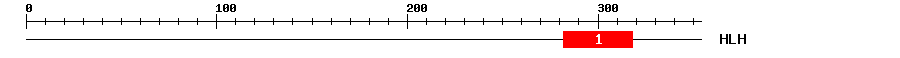 Signature Domain