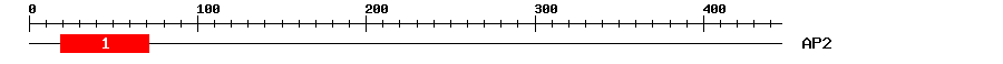 Signature Domain