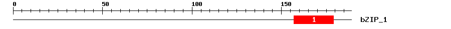 Signature Domain