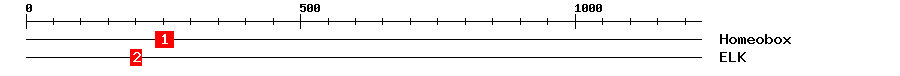 Signature Domain