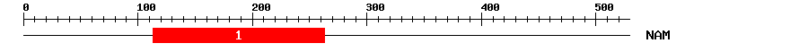 Signature Domain