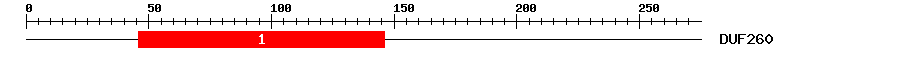 Signature Domain