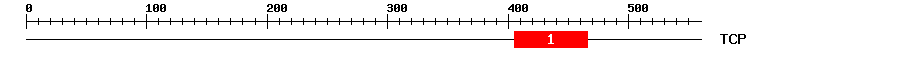 Signature Domain