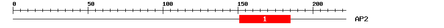 Signature Domain