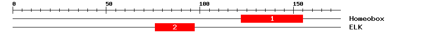Signature Domain