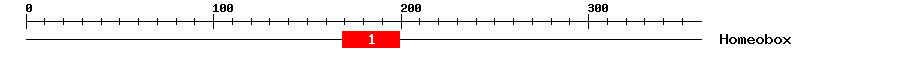 Signature Domain