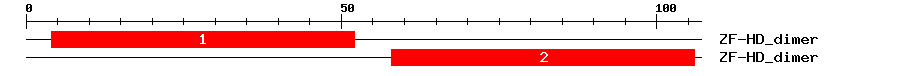 Signature Domain